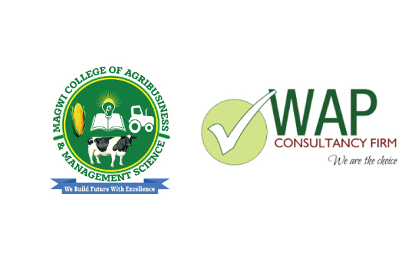 WAP, UNDP, YEEP Projects